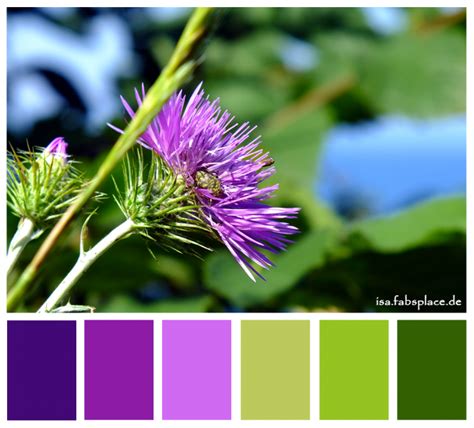 Color Palettes Get Inspiration From Nature Isas Place