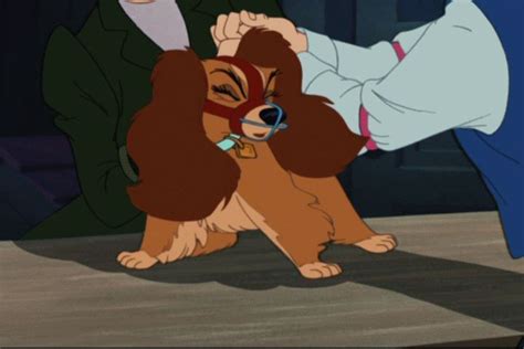 Lady And The Tramp Disneys Lady And The Tramp Image