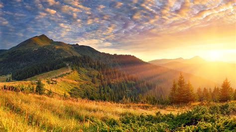 Green Trees With Green Covered Mountain Scenery Morning Sun Rays 4k Hd Nature Wallpapers Hd