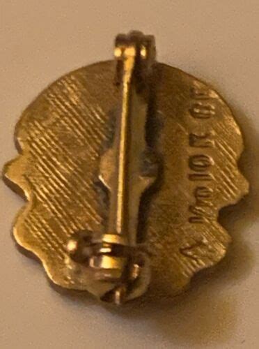 Epsilon Sigma Alpha Vintage 10k Gold Filled Sapphire 35 Years Pin Pinback 14” Ebay