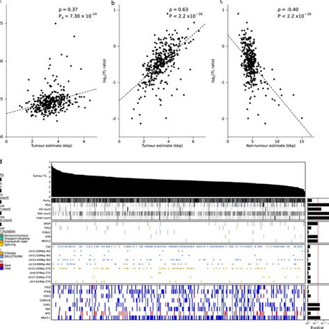 Tumour Telomere Length TL Is Associated With Genomic Features A