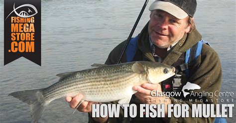 How To Fish For Mullet