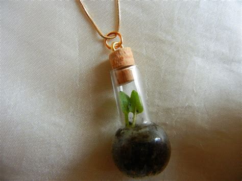 Diy How To Make A Cute Terrarium Necklace To Keep Or Give As A T