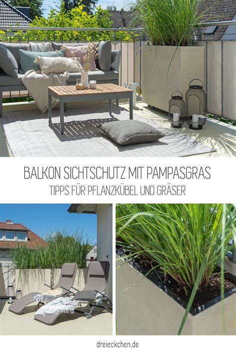 Tipps für Pflanzkübel und Gräser Balkon Sichtschutz mit Pflanzen