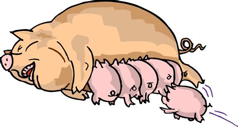 Free Pig Cartoon Images Download Free Clip Art Free Clip