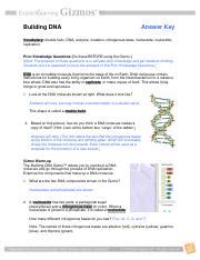 Challenge this dna strand consists of eight pairs of nitrogenous bases how many. Student Exploration Building Dna Gizmo Answer Key Pdf / Gizmo Student Exploration Sheet Answers ...