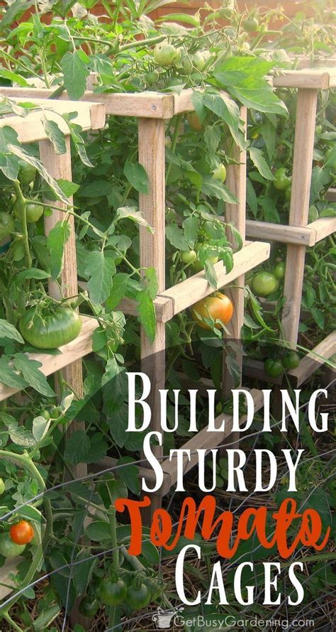 How To Make Sturdy Diy Tomato Cages Tomato Garden Tomato Cages