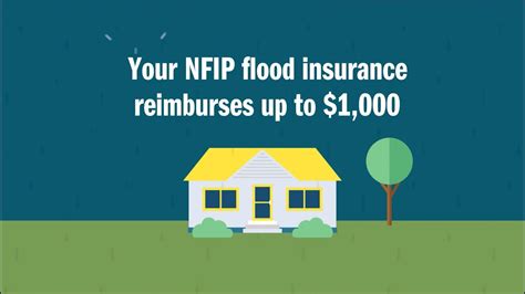 Flood Loss Avoidance Coverage From The National Flood Insurance Program
