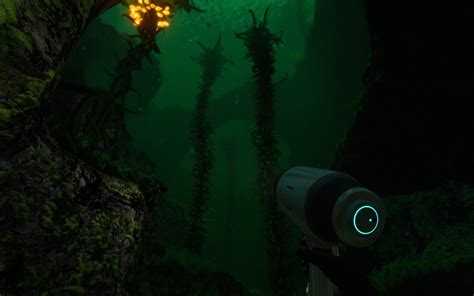 Although The Kelp Forest Is Mostly A Friendly Biome It Has Its Darker