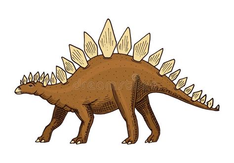 Dinosauro Di Stegosauro Isolato Animale Antico Dino Preistorico