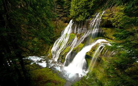 Panther Creek Falls Skamania County Washington Unique Forest