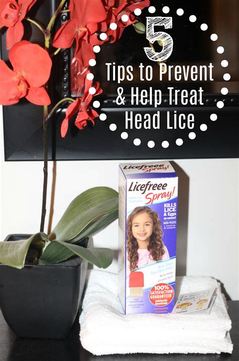 5 Tips To Prevent And Help Treat Head Lice A New Dawnn