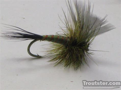 Green Drake Fly Patterns Emerger Cripple And Spinner Patterns