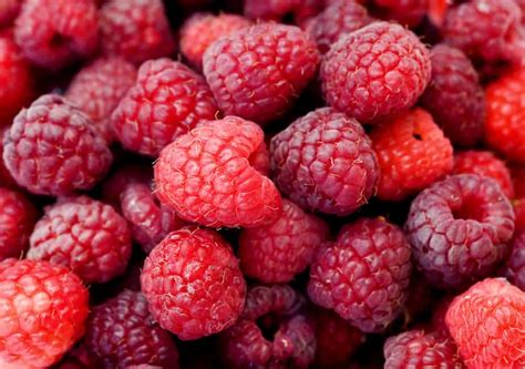 How To Tell If Raspberries Are Bad 4 Top Signs Peppers Home And Garden