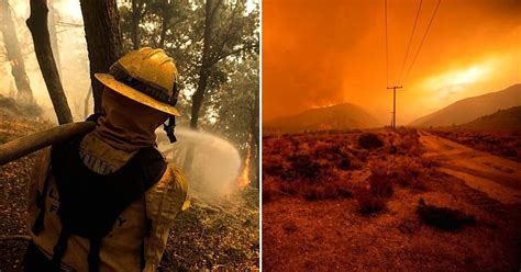 Be batting a thousand what does be batting a thousand expression mean? Firefighter Passed Away Battling A Wildfire Sparked By A ...