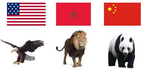 National Animals Of All Country 177 Countries Youtube