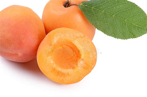 Fresh Apricot With A Leaf Stock Image Image Of Healthy 61392839