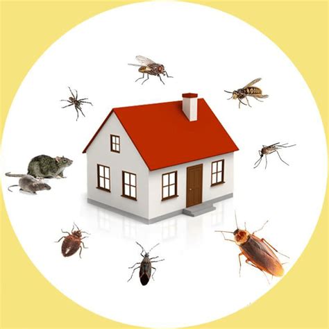 It makes for very interesting reading. Why you should Look for Organic Pest Control Company - Bed And Style