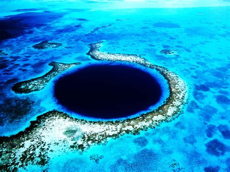 The Belize Barrier Reef 8 Underwater Wonders Travel