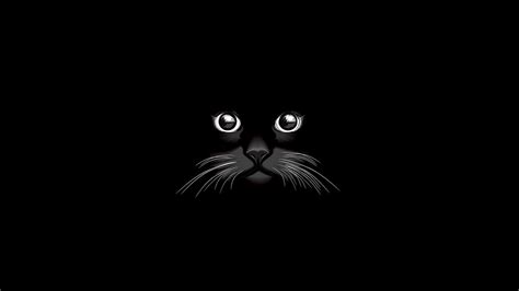 Wallpaper Cat Minimalism Black Cat Darkness Screenshot 1920x1080