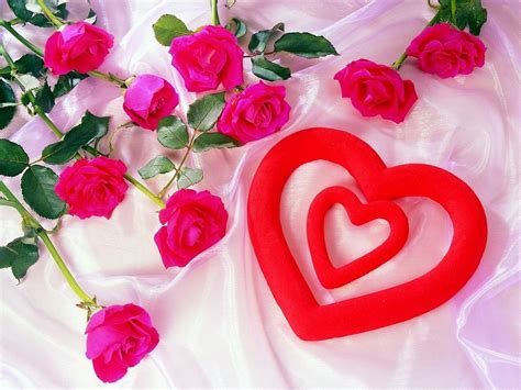 25 Best Love Flowers Wallpapers
