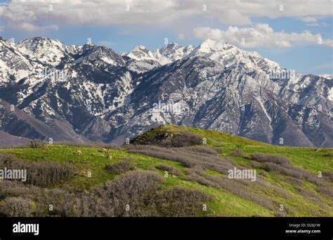 Wasatch Mountains In Northern Utah Stock Photo Alamy