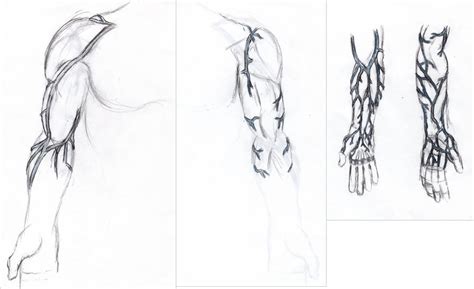 Veins Practice Arm By Raikuen On Deviantart