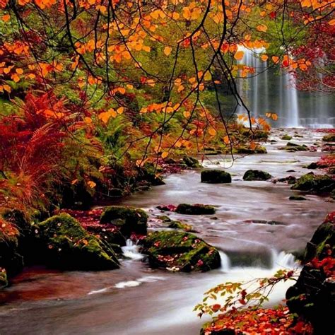 10 Top Images Of Fall Scenery Full Hd 1080p For Pc Background 2021