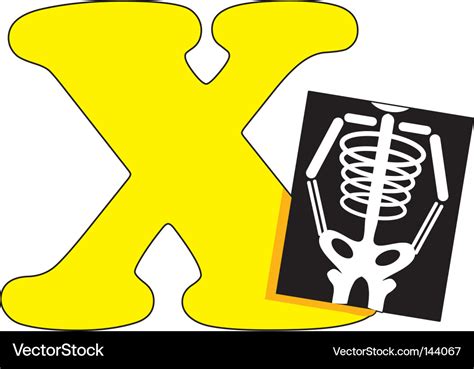 X Is For Ray Royalty Free Vector Image Vectorstock