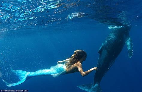 Real Life Mermaid Swims With Whales Using Very Own Fish Tail And