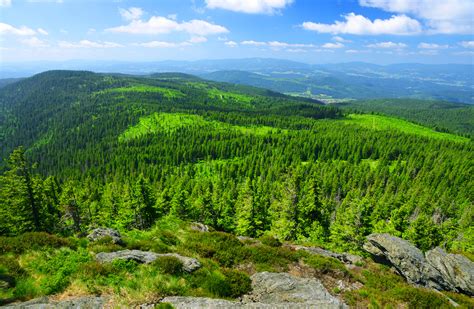 Bayerischer Wald 16 Spannende Infos Für Deinen Urlaub In Deutschland