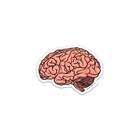 The Anatomical Brain Sticker Medical Stickers Bubble Stickers