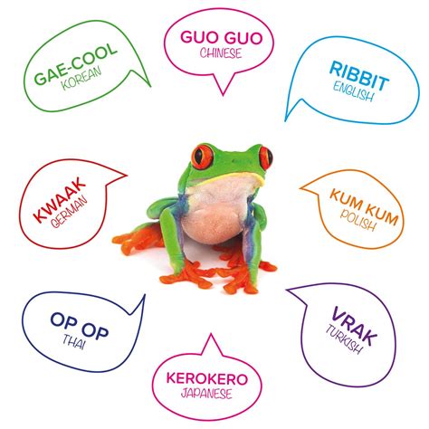 Frog Animal Sounds / Animal Sounds Clipart 1392285 Illustration By Bnp