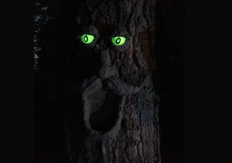 The glow renders impeccable results even on applying on an art canvas or a costume. 3 Best Glow In The Dark Paint For Outdoor Use in 2020 ...