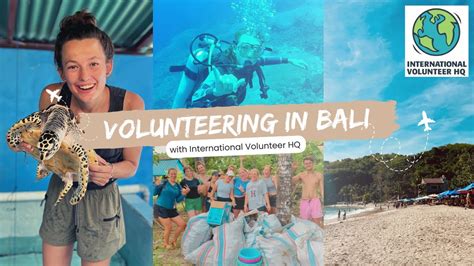 Volunteering In Bali The Best Decision Of My Life Sea Turtle