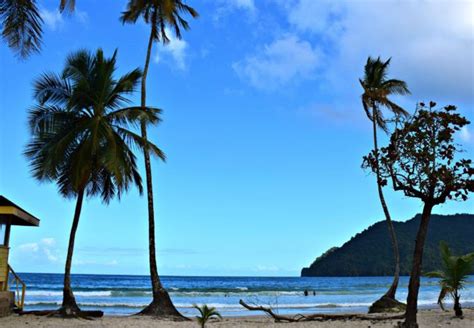 8 Idyllic Beach Photos That Will Inspire You To Visit Tobago Travel