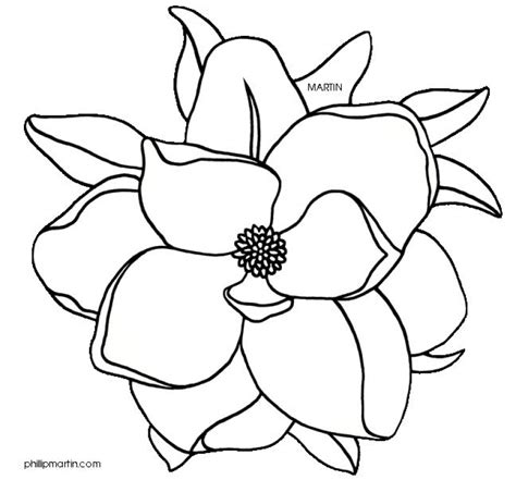 Thank you for letting me share my love for drawing with you :d feel free to to start our magnolia drawing we will put down some guidelines to help use define the proportions and size of the flower. 820x763 Magnolia Flower Clip Art Art Reference Magnolia ...