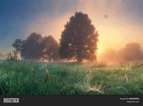Bright Dawn Early Image And Photo Free Trial Bigstock