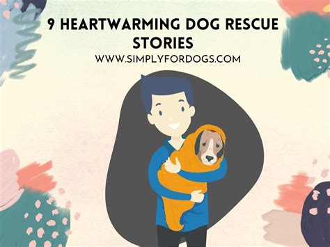 9 Heartwarming Dog Rescue Stories Inspirational Simply For Dogs