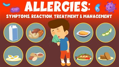 Allergies Symptoms Reaction Treatment And Management Video For Kids