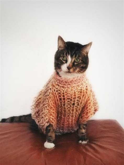 Kittens In Oversized Sweaters Softest Wool Sweaters