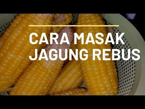 Memulai cara menanam jagung yang berkualitas, tentu sangat berpengaruh dengan kualitas perawatannya. Cara Memasak Jagung Rebus Yang Mudah How To Cook Boiling ...