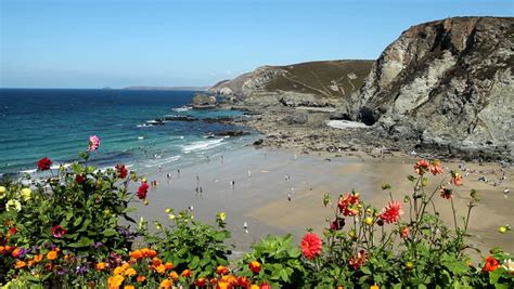 Trevaunance Cove Beach And Colorful Flowers Near St Agnes Cornwall Uk