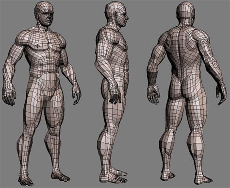 Realistic Male Body 3d Max Character Model Sheet Character Modeling