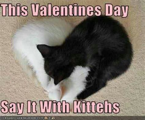 This Valentines Day Say It With Kittehs Happy Valentines Day Funny