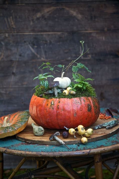 Decorating With Pumpkins Pumpkin Planter Fall Floral Arrangements