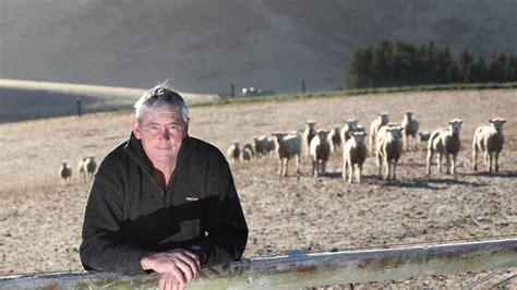 Rain Welcomed By South Canterbury Farmers Offsets Fears Of Drought Nz