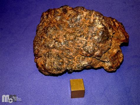 Diogenite Meteorite 7831 Nwa Full Specimen 329 Grams Certified By