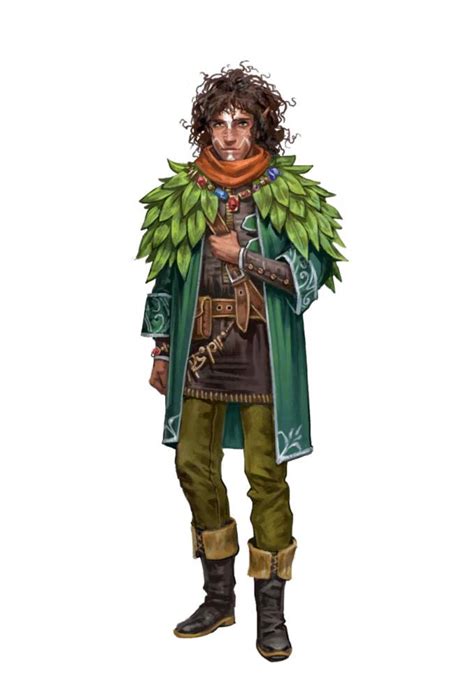 Male Half Elf Druid Ranger Jungle Pathfinder E Pfrpg Pfsrd Dnd D D