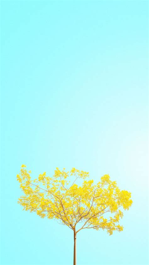 Araguaney | Minimalist wallpapers | Pinterest | Wallpaper ... Save these images as pins to your wallpapers board on pinterest!